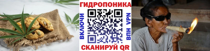 Купить закладки  Осинники  Canna-Cookies марихуана 