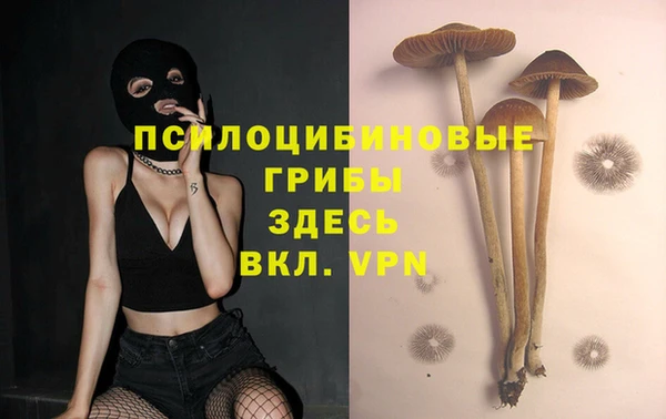 MESCALINE Бородино