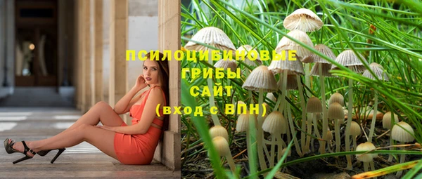 MESCALINE Бородино