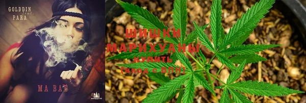 MESCALINE Бородино