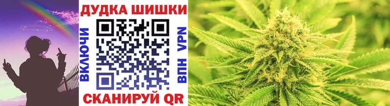 Купить где Осинники Канабис SATIVA & INDICA